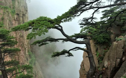 nature cliff HD Desktop Wallpaper | Background Image