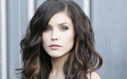 HD PC desktop wallpaper featuring a close-up portrait of celebrity Sophia Bush with softly curled hair against a neutral, textured background.