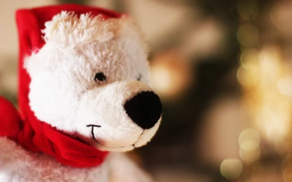 man made stuffed animal HD Desktop Wallpaper | Background Image