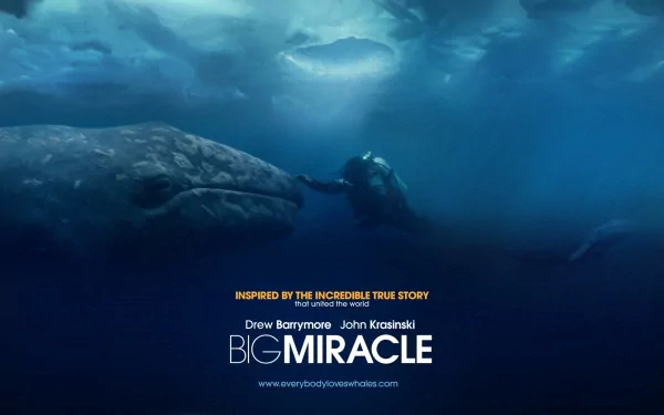 whale movie Big Miracle HD Desktop Wallpaper | Background Image