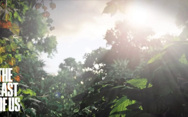 HD desktop wallpaper featuring lush greenery with sunlight filtering through, captioned with The Last Of Us.