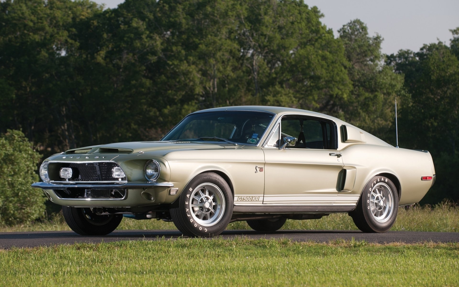 HD desktop wallpaper featuring a classic Shelby Cobra GT500 King Of The Road fastback muscle car parked on grass with trees in the background.