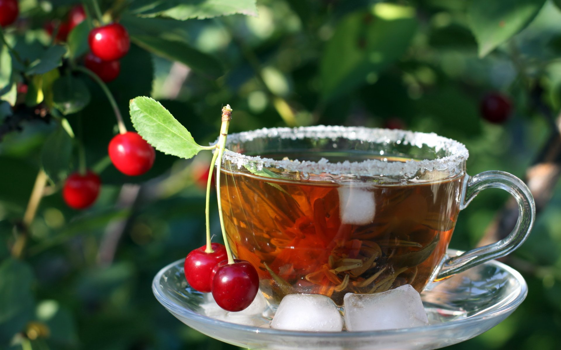 HD PC desktop wallpaper featuring a clear glass cup of tea with ice cubes, garnished with fresh cherries hanging from a leafy branch in the background.