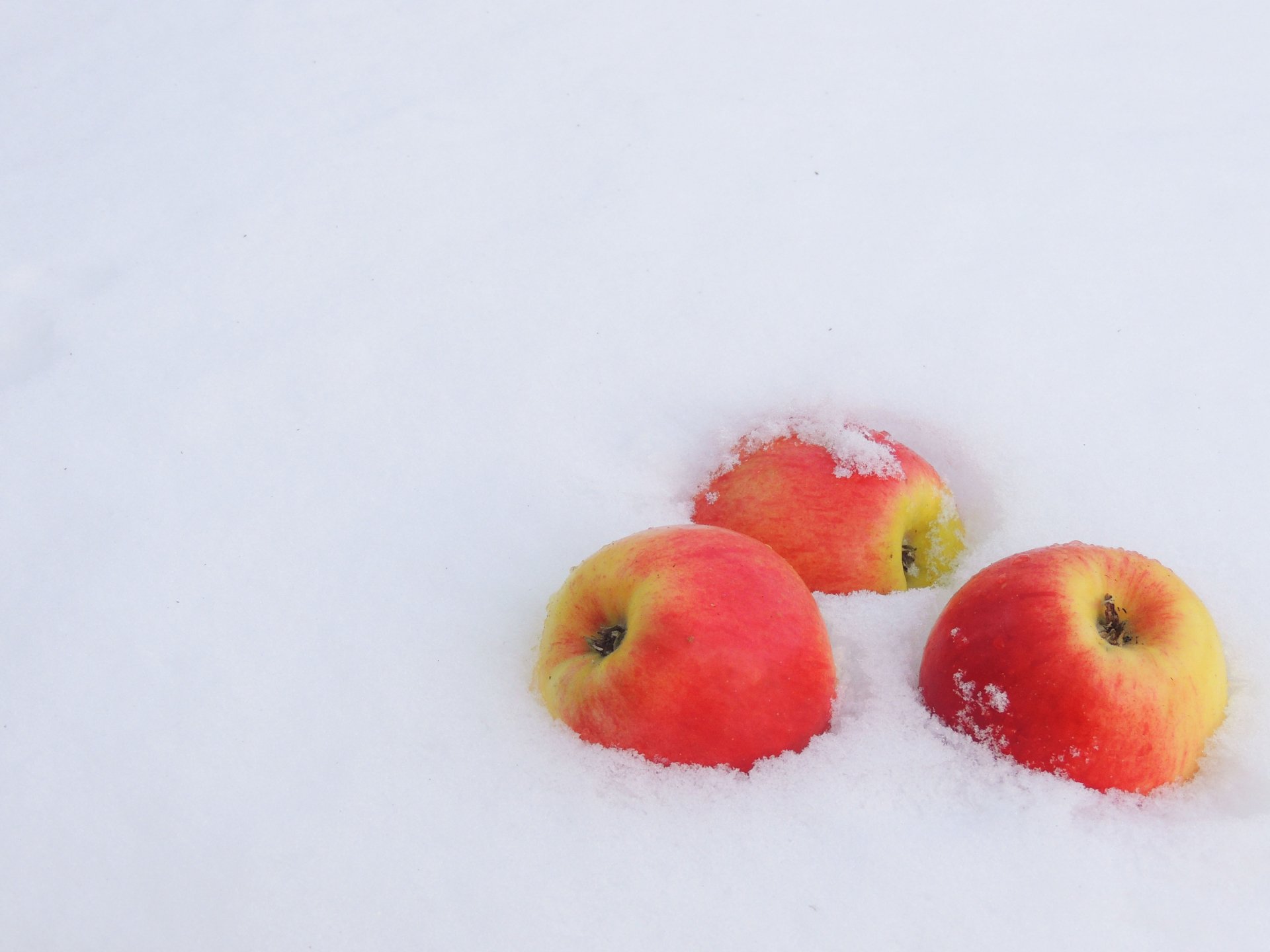 4K Ultra HD PC desktop wallpaper: three red-yellow apples partially buried in crisp white snow, a food-themed still life background.