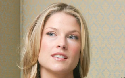 HD PC desktop wallpaper featuring a close-up of celebrity Ali Larter with a soft expression against a patterned background.