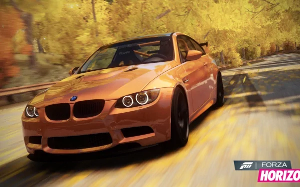 BMW in Forza Horizon