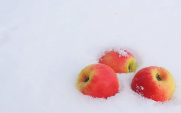 4K Ultra HD PC desktop wallpaper: three red-yellow apples partially buried in crisp white snow, a food-themed still life background.