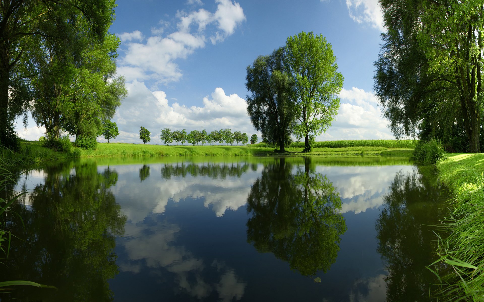 HD PC desktop wallpaper showing serene nature with tall trees and a blue sky reflected perfectly in a calm pond.