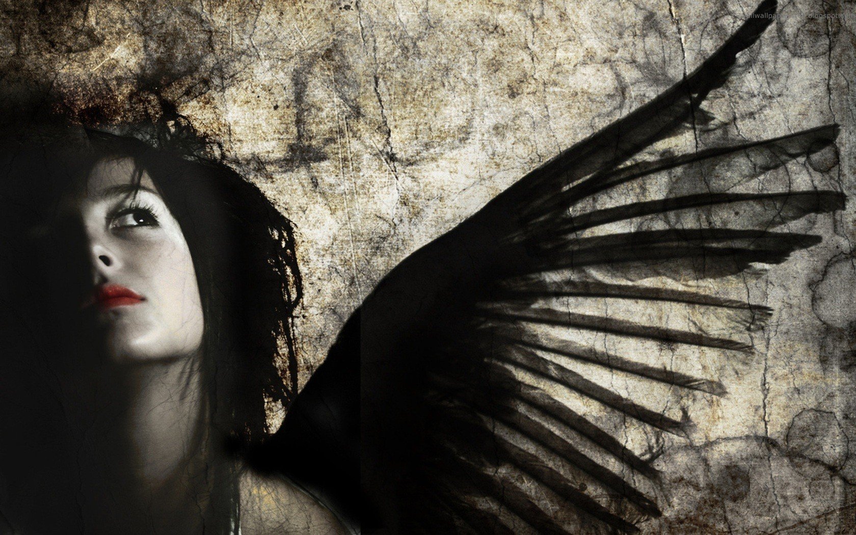 Angel Wallpaper And Background Image | 1680X1050 | Id:340694