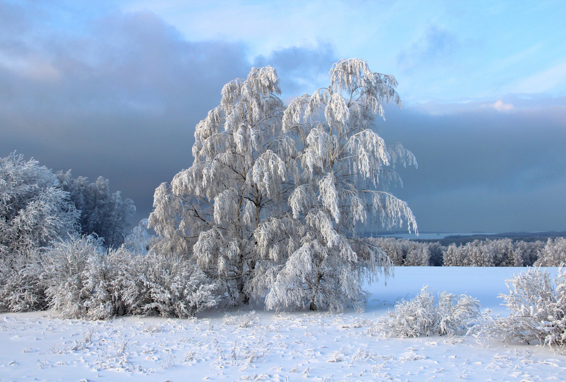 HD PC desktop wallpaper showcasing a serene winter landscape with snow-covered trees under a partly cloudy sky in a natural setting.