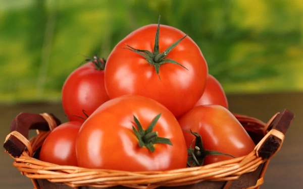 food tomato HD Desktop Wallpaper | Background Image