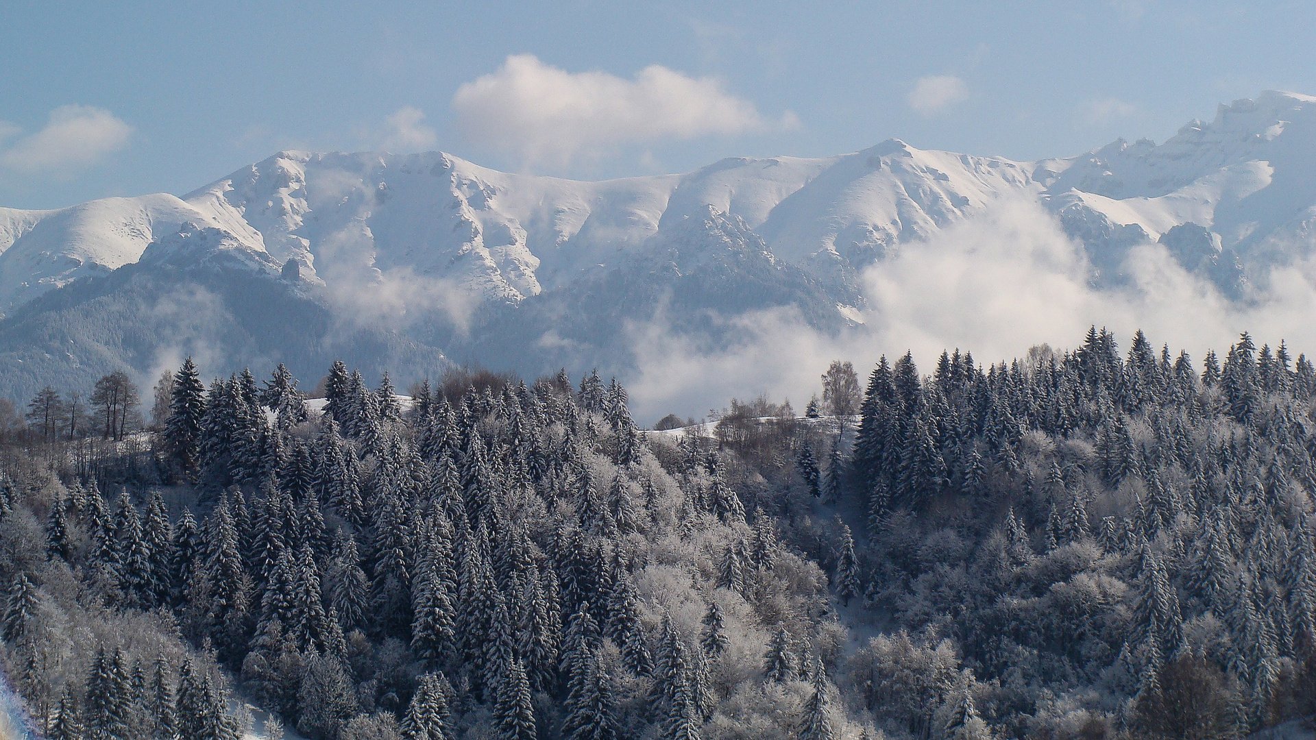 HD desktop wallpaper featuring a serene winter landscape of snow-covered trees and majestic mountain peaks under a clear sky.