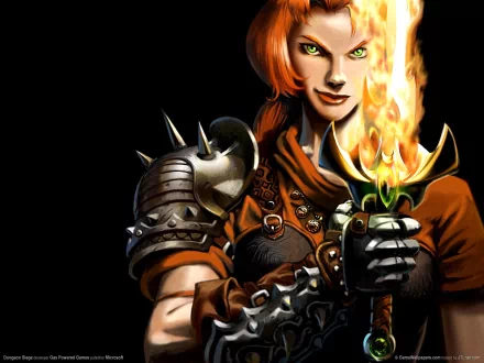 video game dungeon siege HD Desktop Wallpaper | Background Image