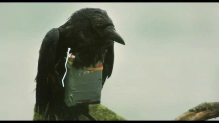 movie four lions HD Desktop Wallpaper | Background Image