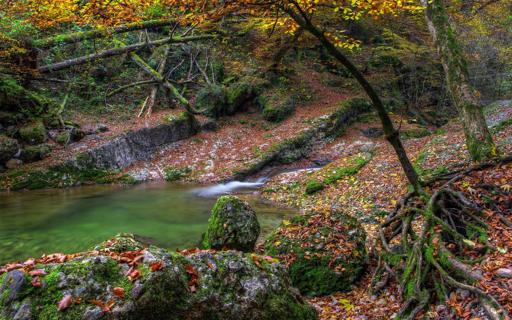 HD PC desktop wallpaper capturing a serene fall scene in nature with a calm stream flowing through a forest adorned with colorful autumn leaves and moss-covered rocks.