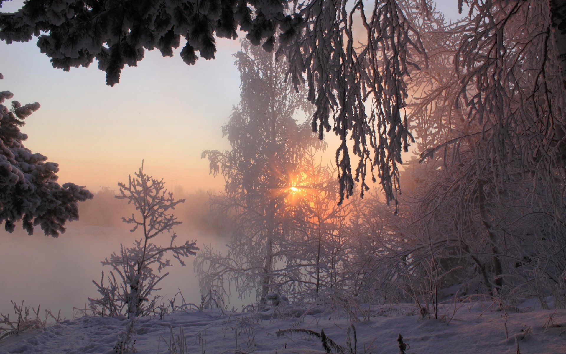 Download Snow Tree Sunset Nature Winter Winter Sunset HD Wallpaper ...