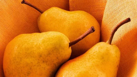 food pear HD Desktop Wallpaper | Background Image