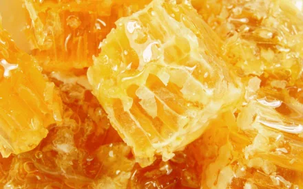 food honey HD Desktop Wallpaper | Background Image