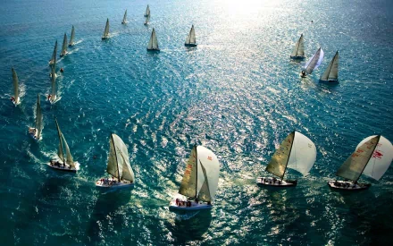A HD desktop wallpaper showcasing multiple sailboats sailing on sparkling blue waters, capturing the elegance and movement of these vehicles in open sea.
