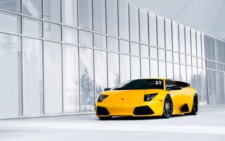 vehicle Lamborghini Murcielago HD Desktop Wallpaper | Background Image