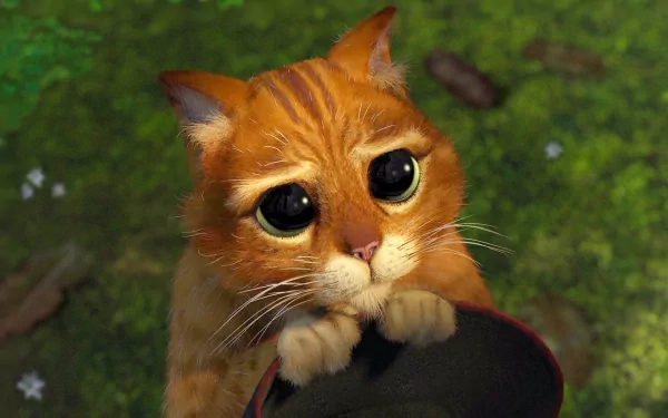 A high-definition desktop wallpaper featuring Puss in Boots from the Shrek movie, showcasing the iconic character with his expressive eyes and charming demeanor.