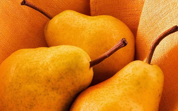 food pear HD Desktop Wallpaper | Background Image