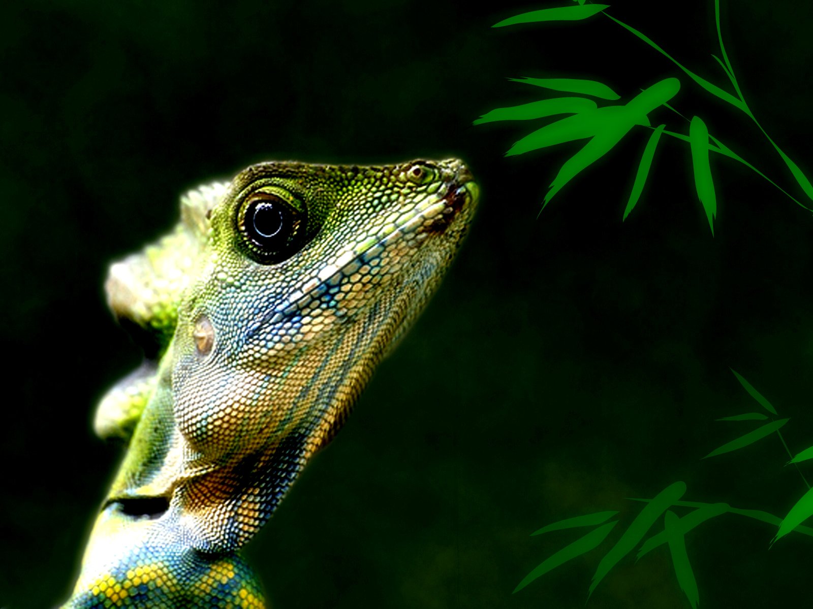Close-up of a green iguana (animal) head showing textured scales and a bright eye against a dark backdrop with bamboo leaves — HD PC desktop wallpaper and background.