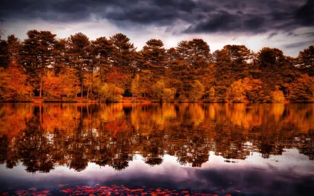 A serene nature scene featuring autumn trees reflecting beautifully on a calm lake, set against a dramatic sky, creating a captivating HD desktop wallpaper.