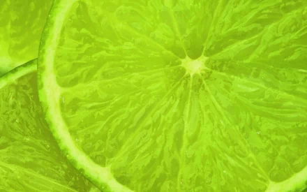 food lime HD Desktop Wallpaper | Background Image