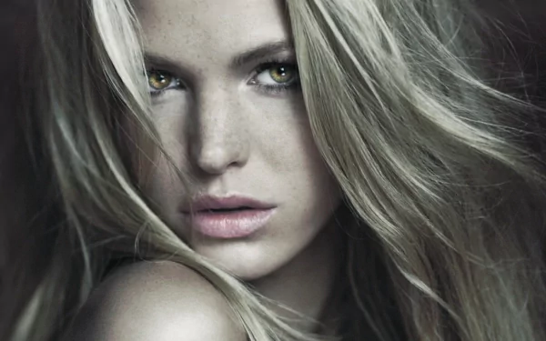HD PC desktop wallpaper featuring a close-up portrait of celebrity Erin Heatherton with flowing blonde hair and striking eyes.