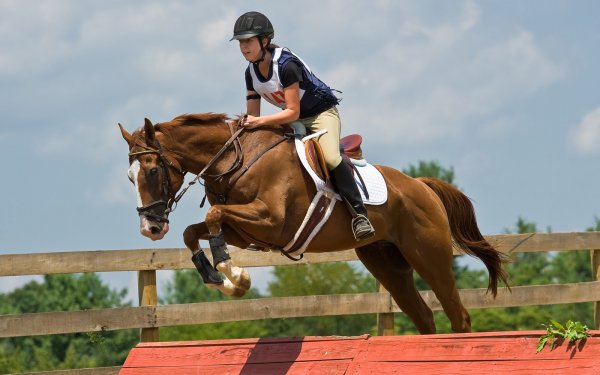 Sports Show Jumping HD Wallpaper | Background Image