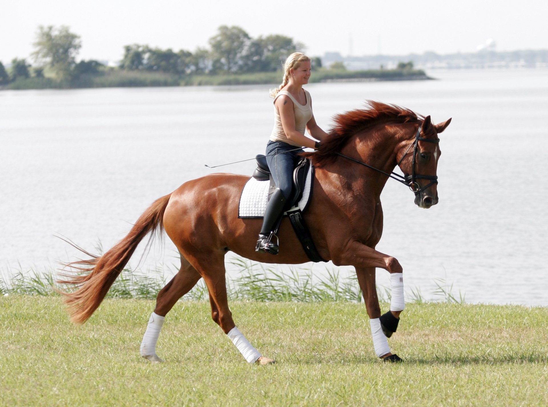 temi riding horse