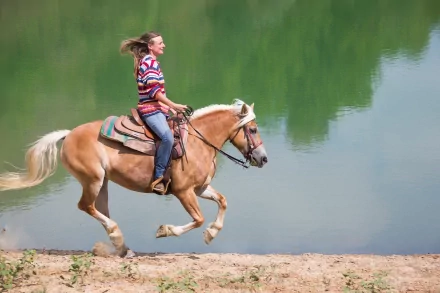 photography horse riding HD Desktop Wallpaper | Background Image