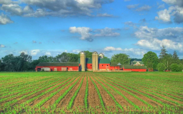 A vibrant HD desktop wallpaper featuring a cultivated farm landscape, with lush green rows leading to a picturesque red barn and silos under a bright blue sky with scattered clouds.