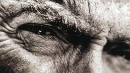 Celebrity Clint Eastwood HD Desktop Wallpaper | Background Image