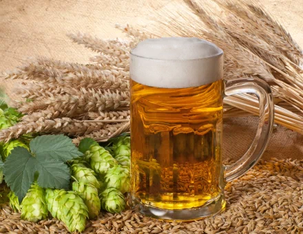 food beer HD Desktop Wallpaper | Background Image