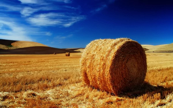 nature haystack HD Desktop Wallpaper | Background Image