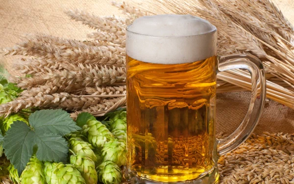 food beer HD Desktop Wallpaper | Background Image