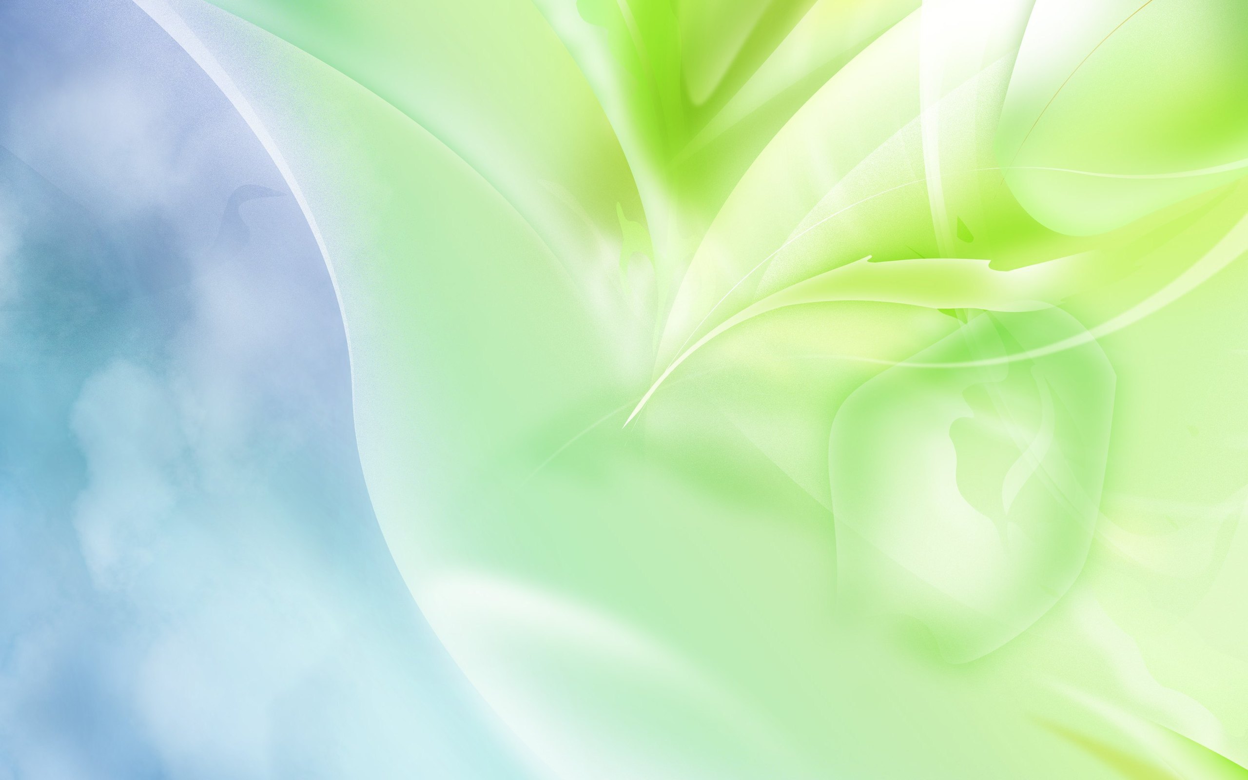 green background hd wallpapers