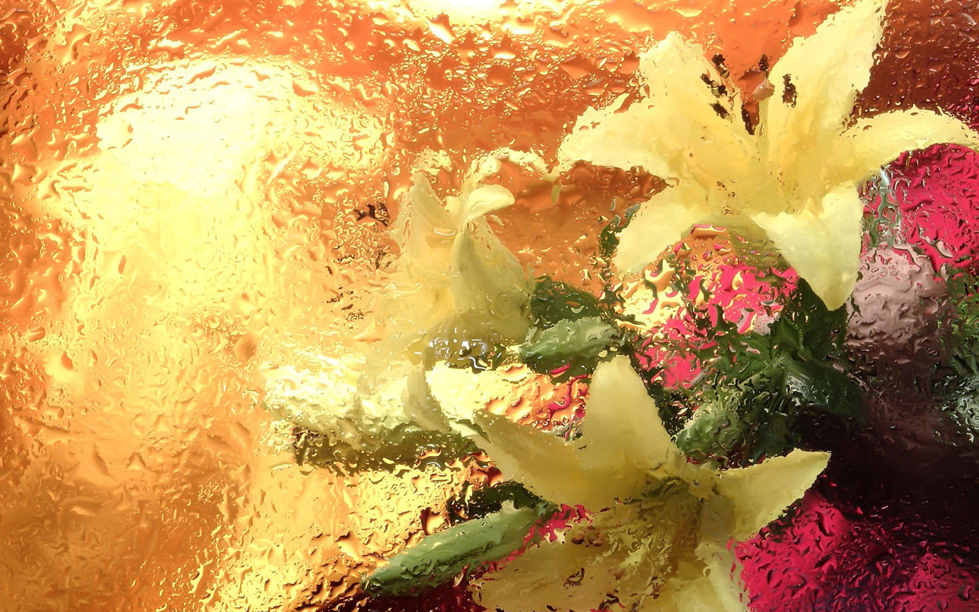 Earth Flower HD Wallpaper | Background Image