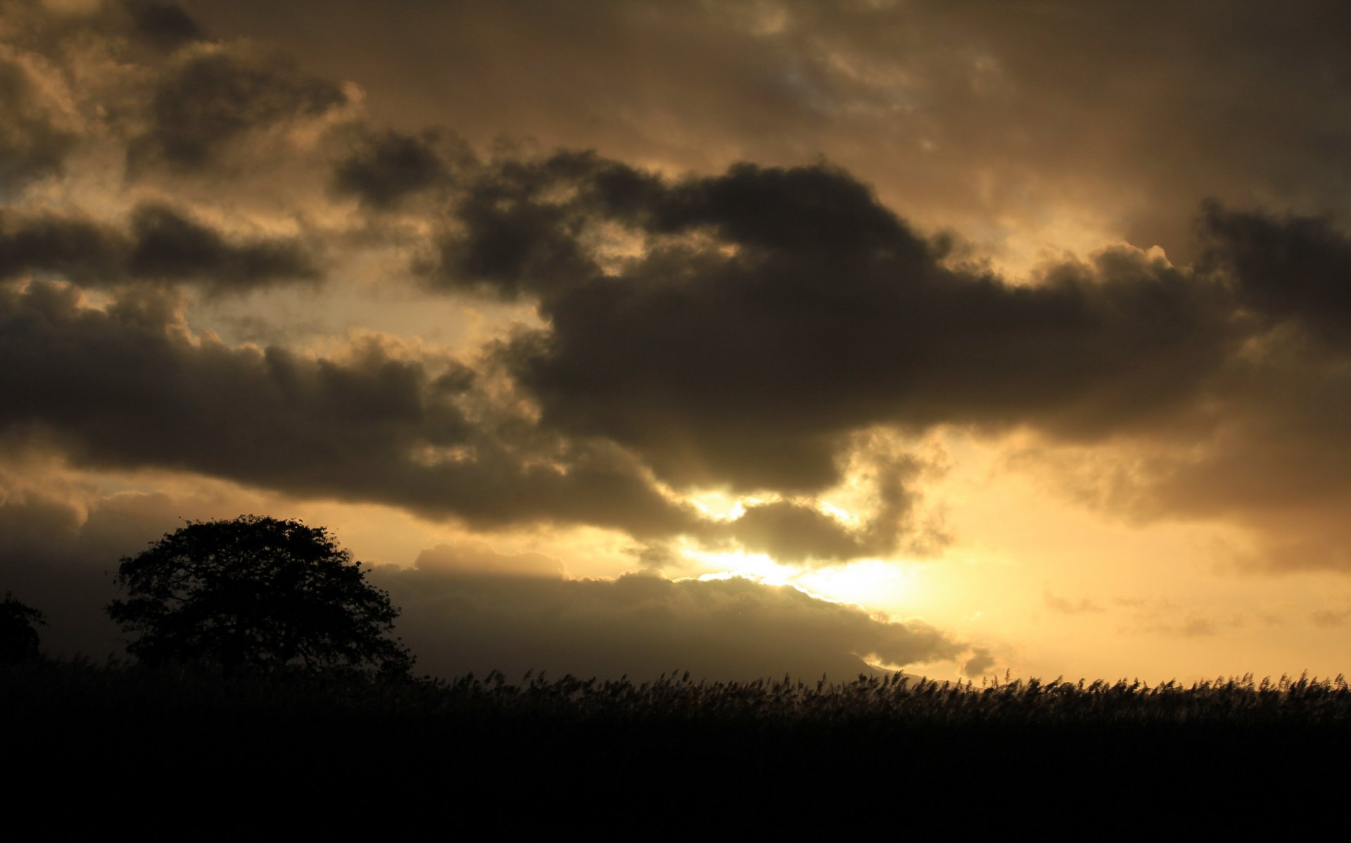 Download Nature Sky HD Wallpaper