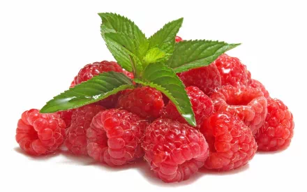 HD desktop wallpaper featuring a close-up of fresh, vibrant raspberries with green leaves on a white background.