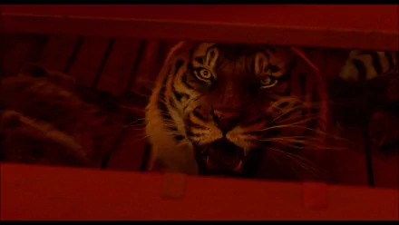 movie Life of Pi HD Desktop Wallpaper | Background Image