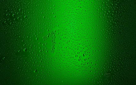 Abstract green background with water droplets, creating a textured and vibrant HD desktop wallpaper.