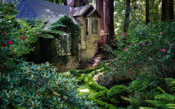 A serene 4K Ultra HD wallpaper of a man-made stone house nestled in a lush, green forest surrounded by vibrant plants and towering trees.