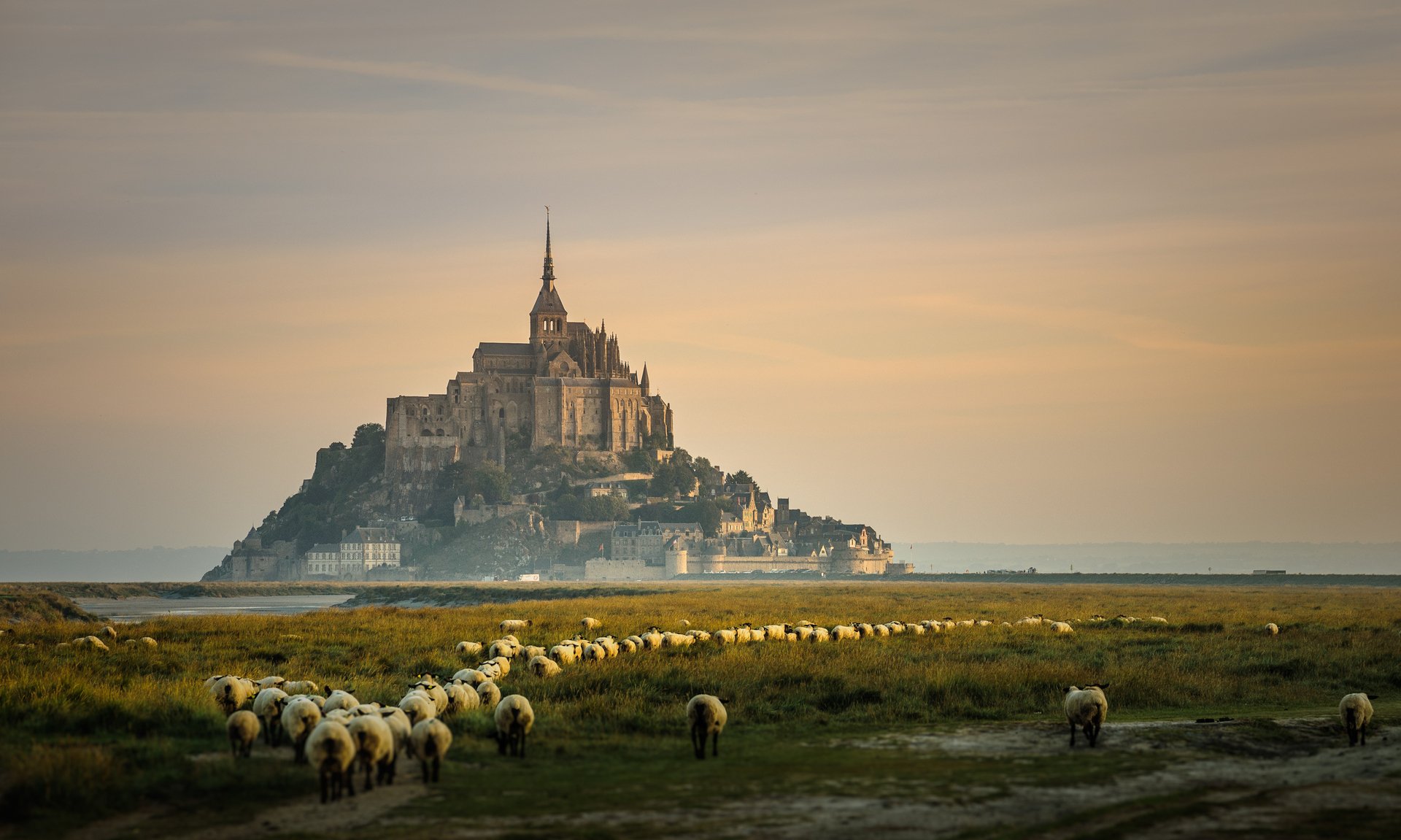 HD desktop wallpaper featuring a historic man-made castle on an island with a flock of sheep grazing in the foreground under a soft, pastel sky.