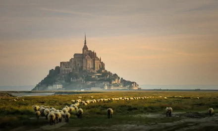 HD desktop wallpaper featuring a historic man-made castle on an island with a flock of sheep grazing in the foreground under a soft, pastel sky.