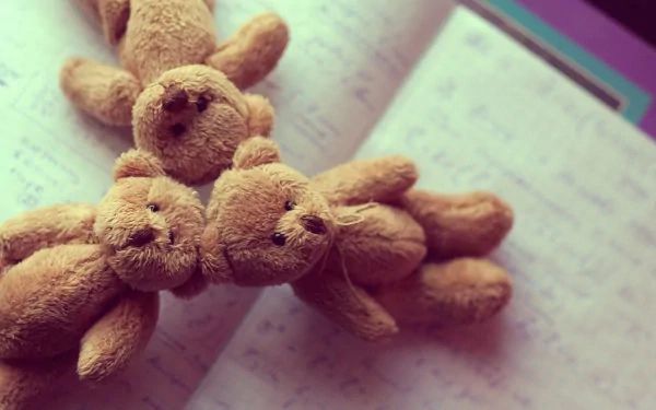 man made stuffed animal HD Desktop Wallpaper | Background Image