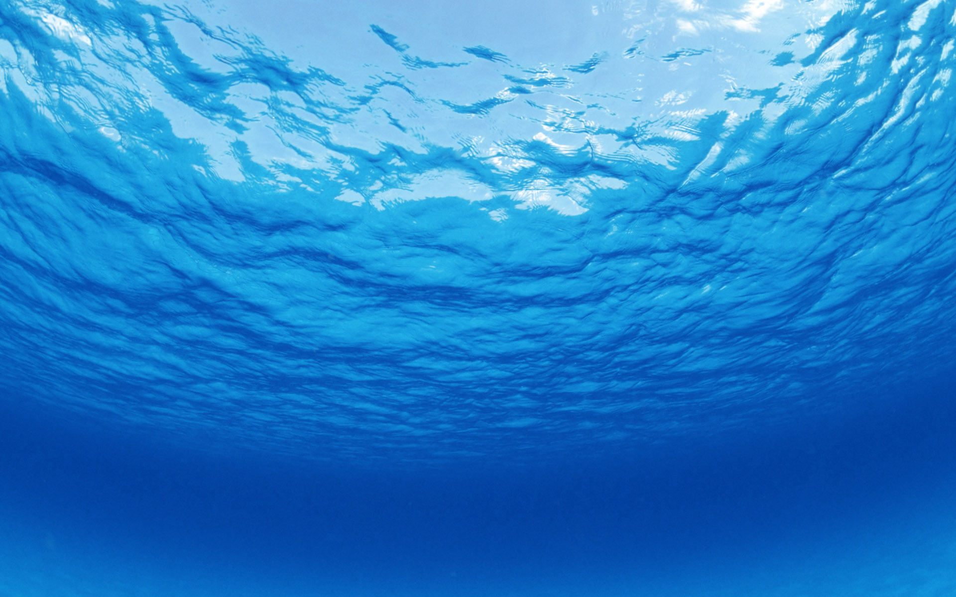 Earth Underwater HD Wallpaper | Background Image