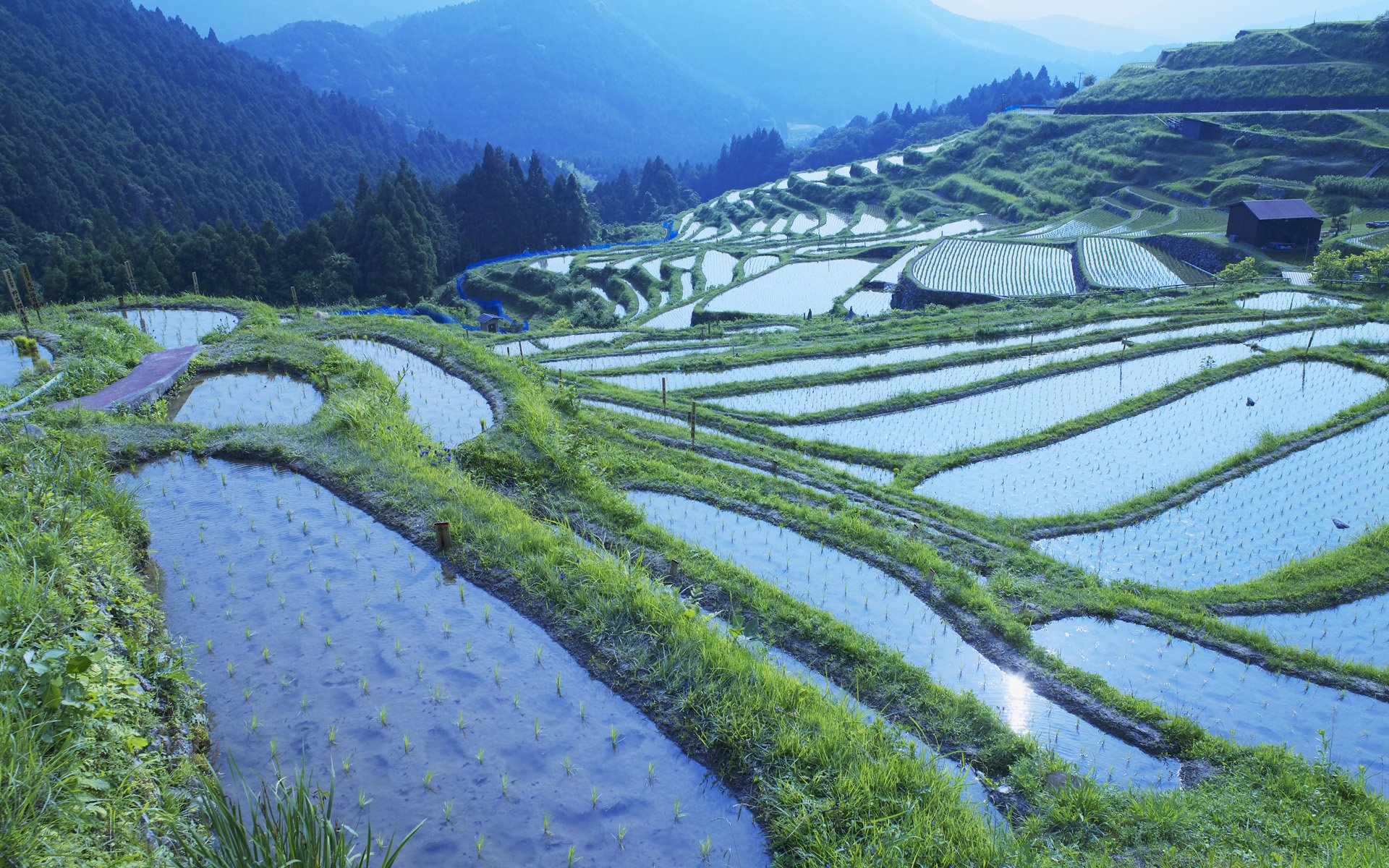 HD landscape photography of terraced rice fields reflecting the sky on misty mountain slopes — serene PC desktop wallpaper and background.